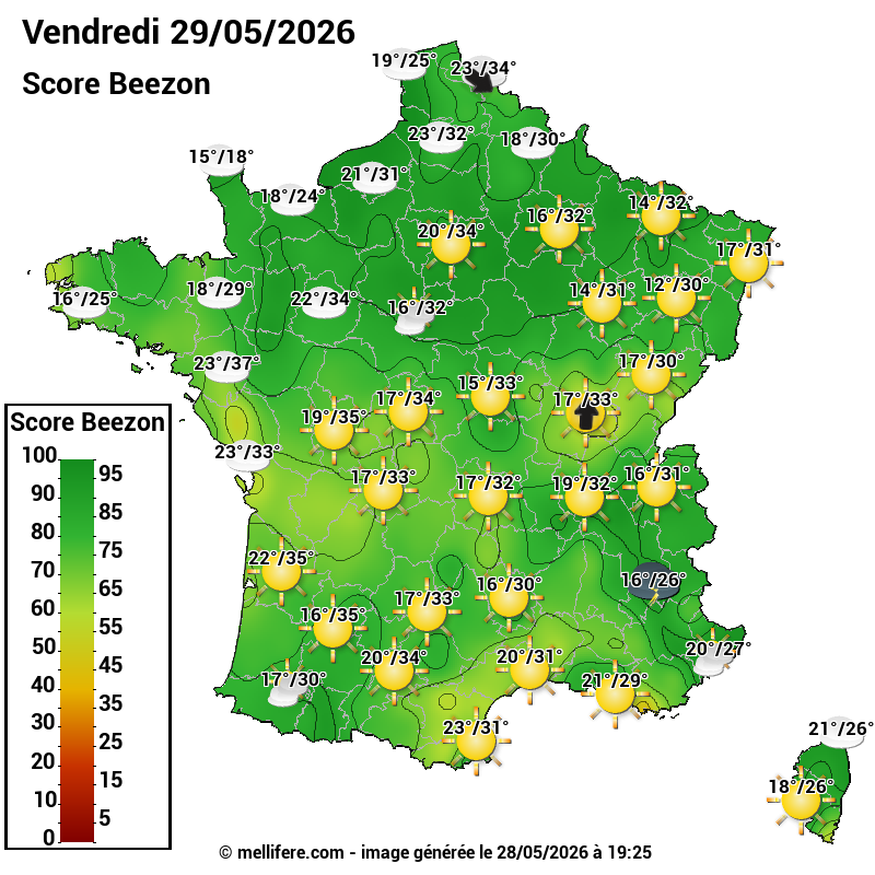 Carte des scores abeilles 29/05