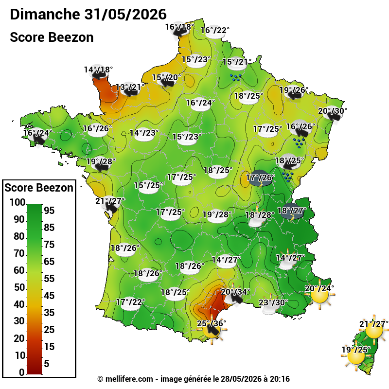 Carte des scores abeilles 31/05
