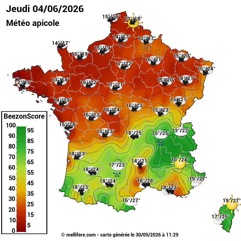 Carte des scores abeilles 04/06