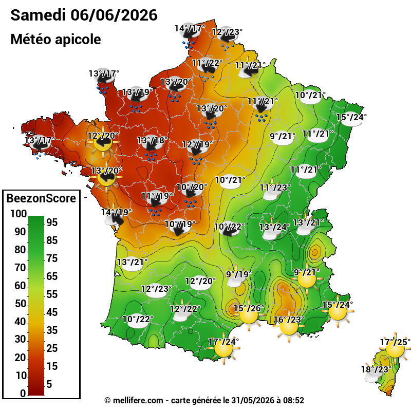 Carte des scores abeilles 06/06
