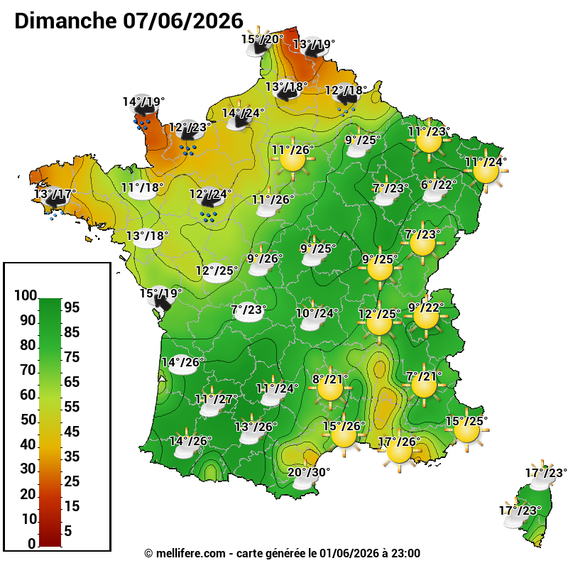 Carte des scores abeilles 07/06