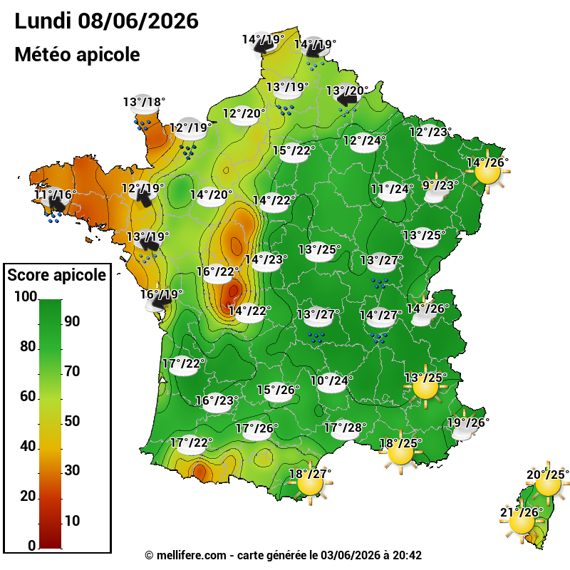 Carte des scores abeilles 08/06