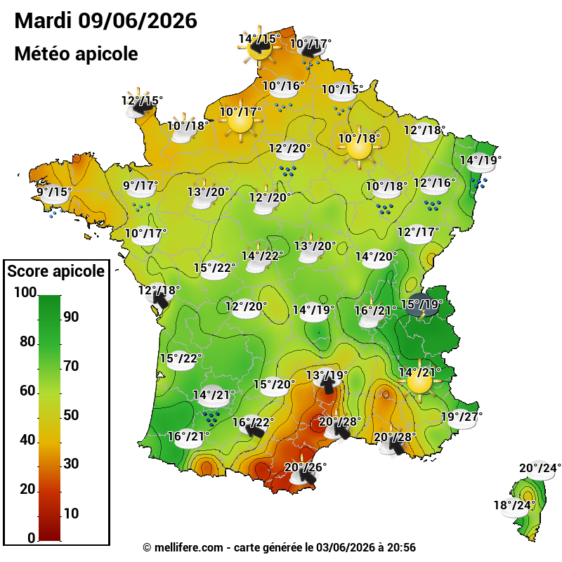 Carte des scores abeilles 09/06