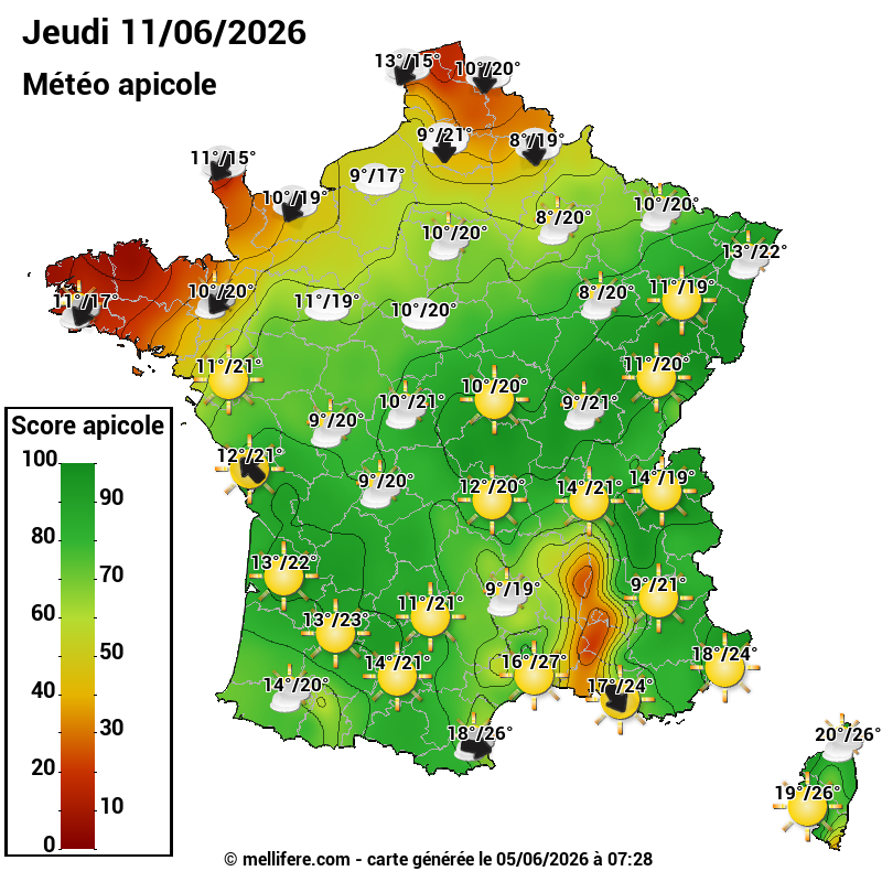 Carte des scores abeilles 11/06