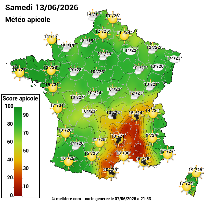 Carte des scores abeilles 13/06