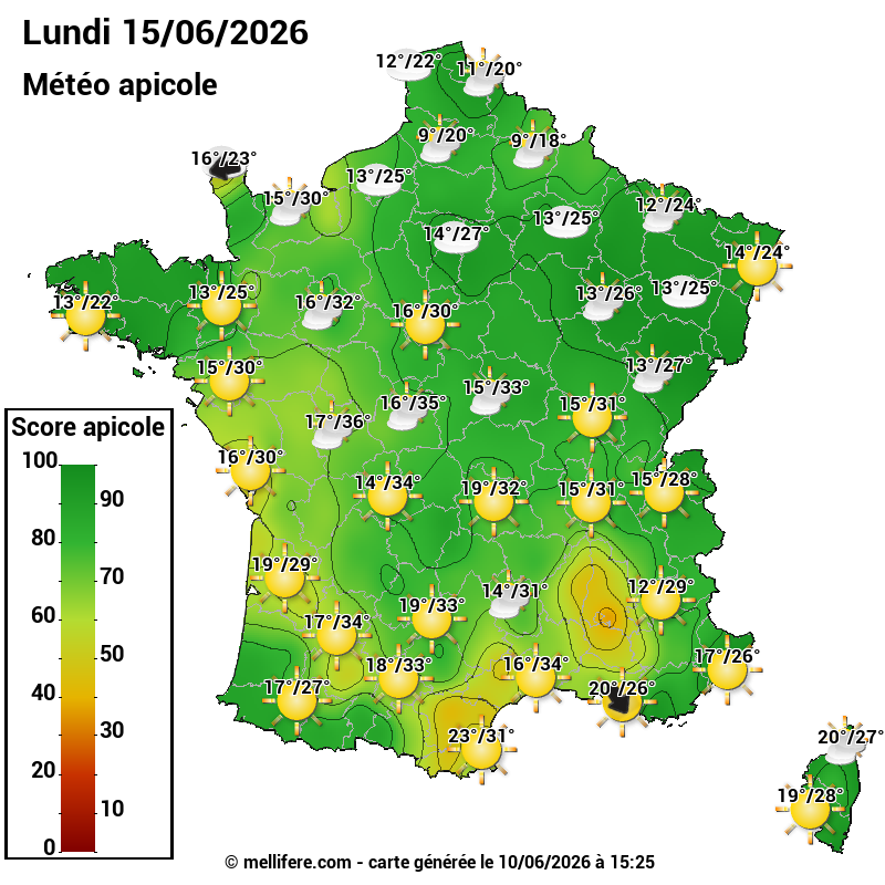 Carte des scores abeilles 15/06