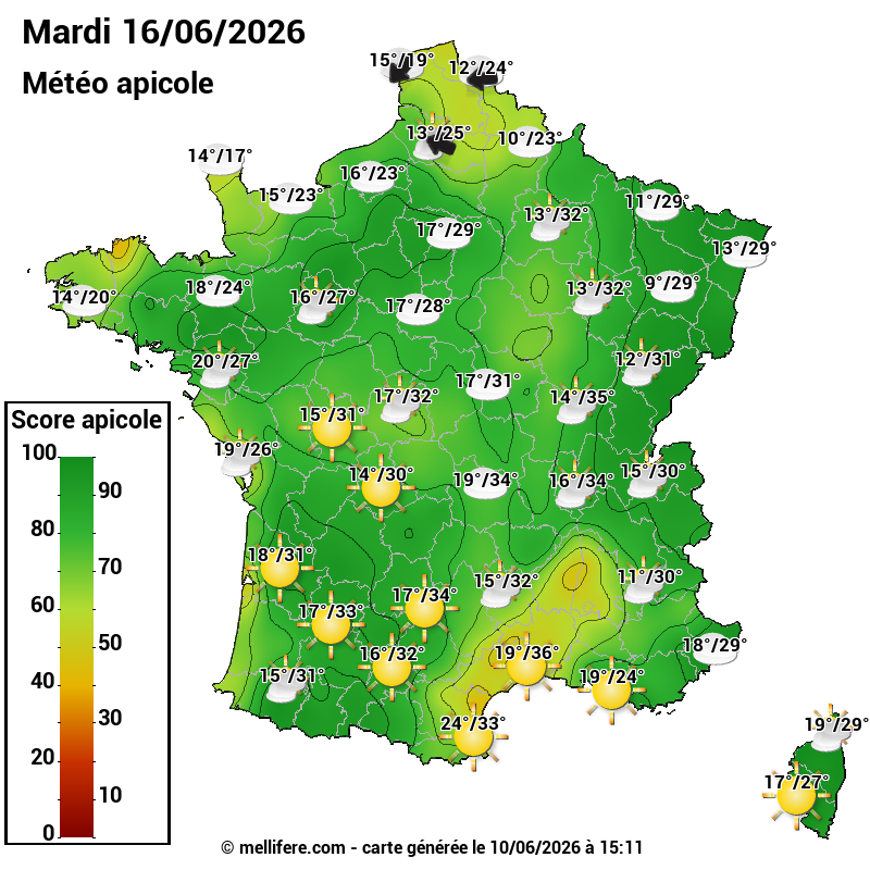 Carte des scores abeilles 16/06