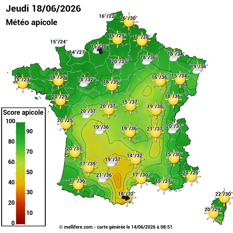 Carte des scores abeilles 18/06