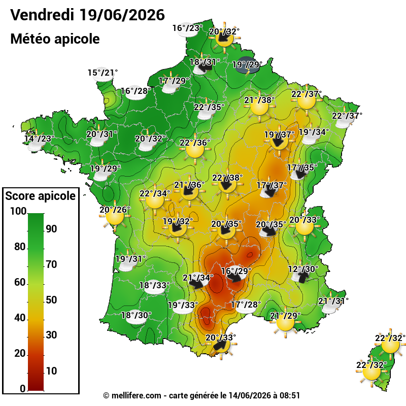 Carte des scores abeilles 19/06