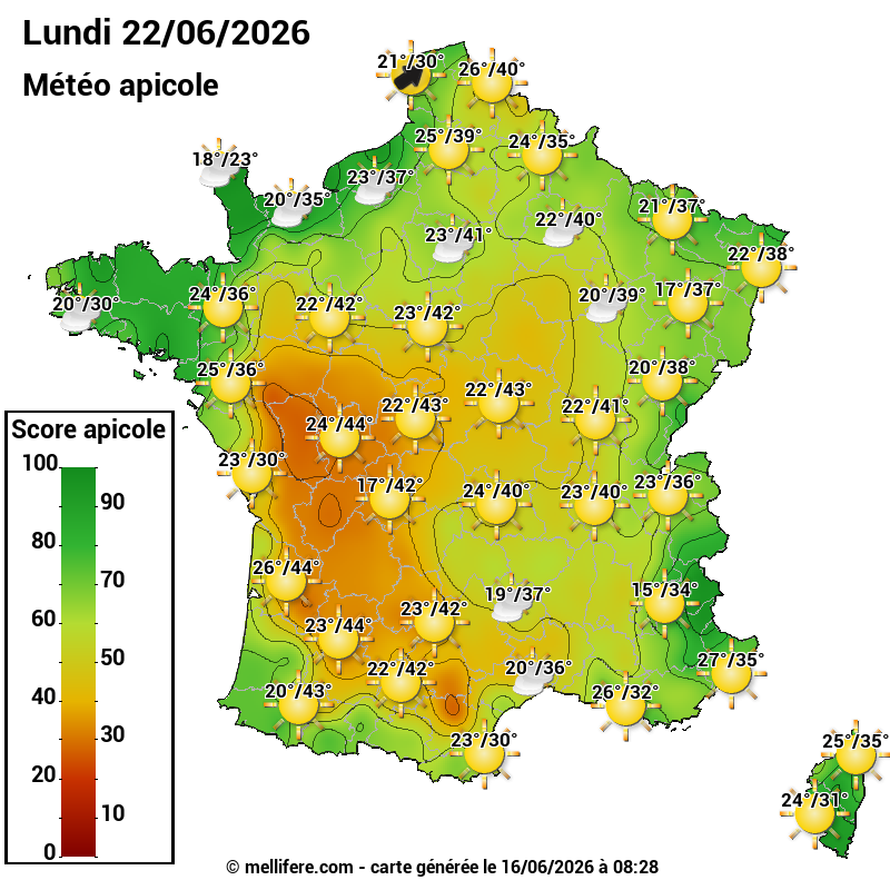 Carte des scores abeilles 22/06