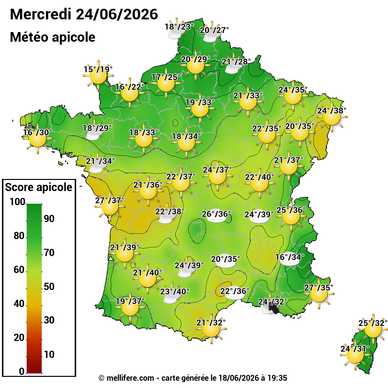 Carte des scores abeilles 24/06