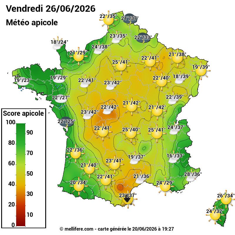 Carte des scores abeilles 26/06