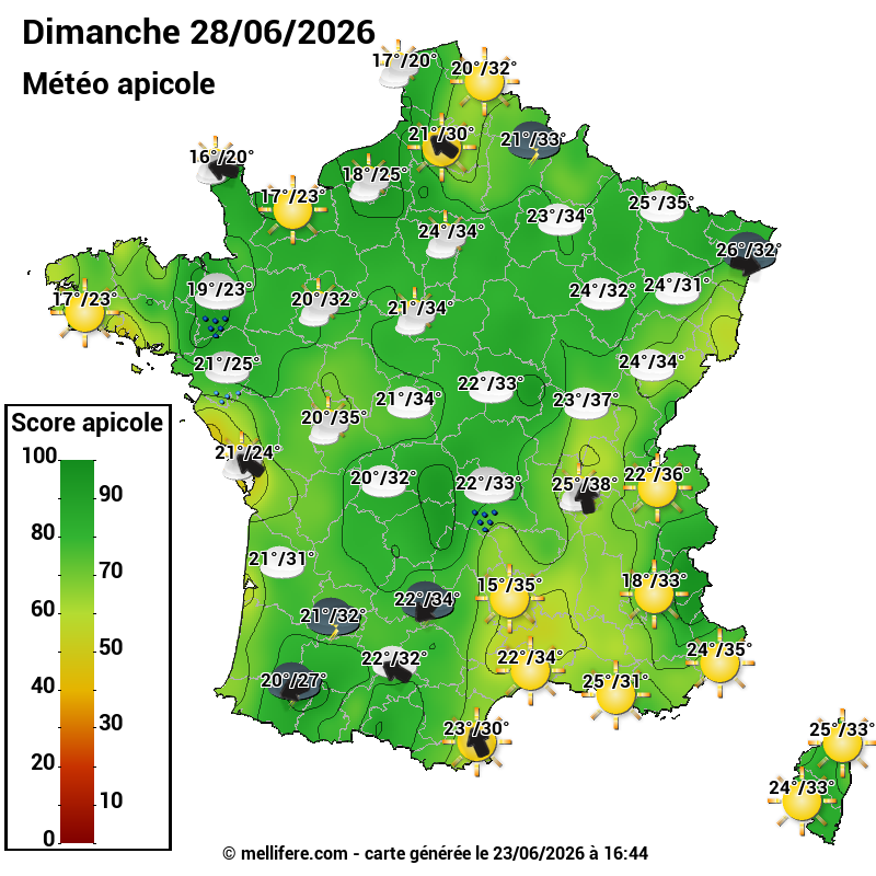 Carte des scores abeilles 28/06