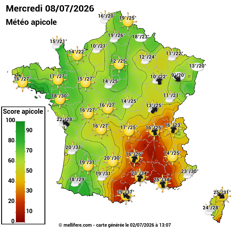 Carte des scores abeilles 08/07
