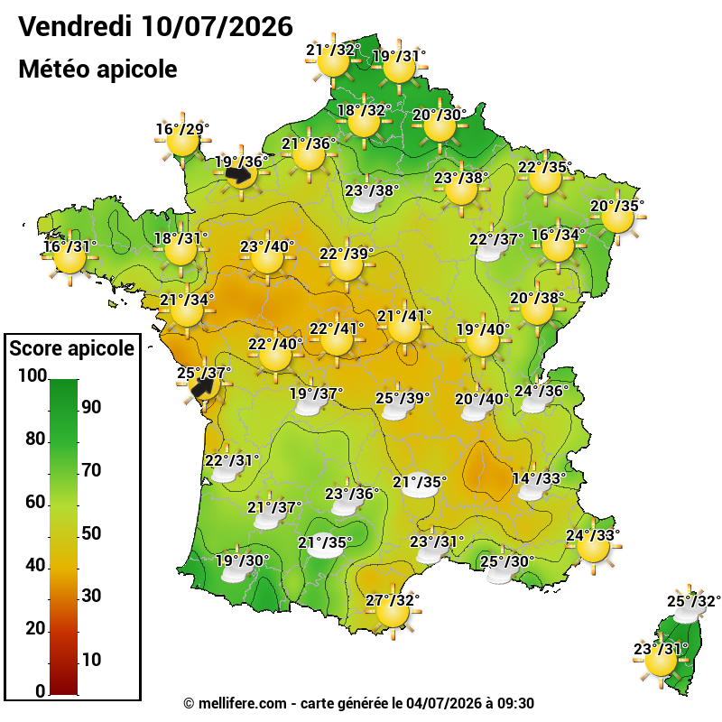 Carte des scores abeilles 10/07
