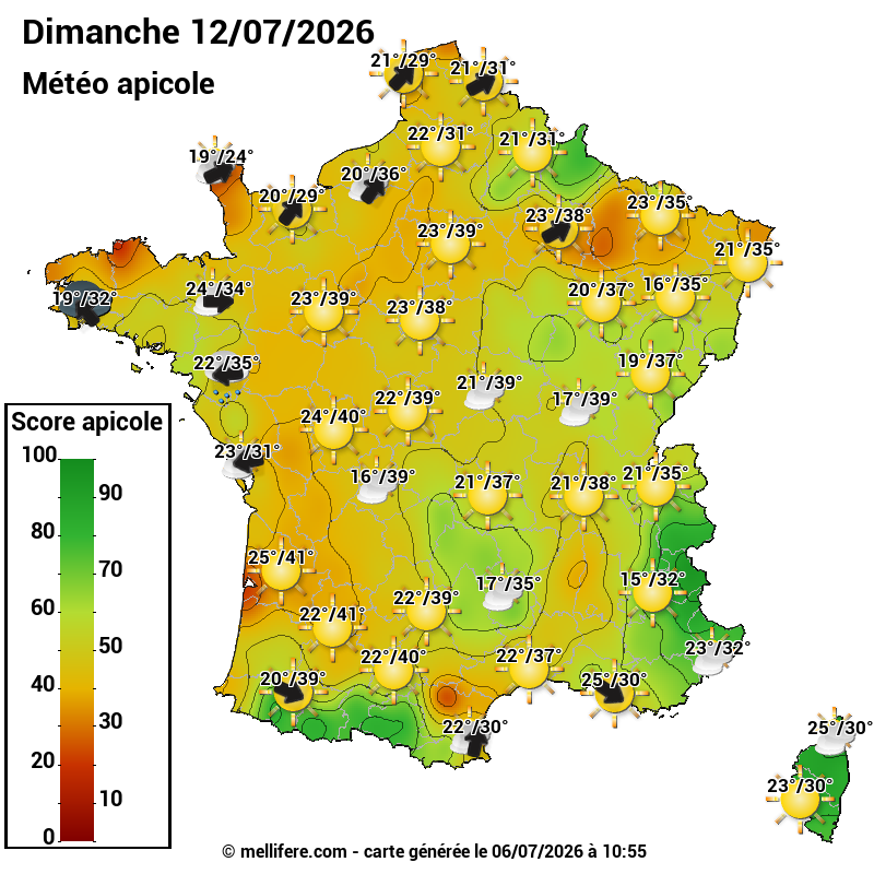Carte des scores abeilles 12/07