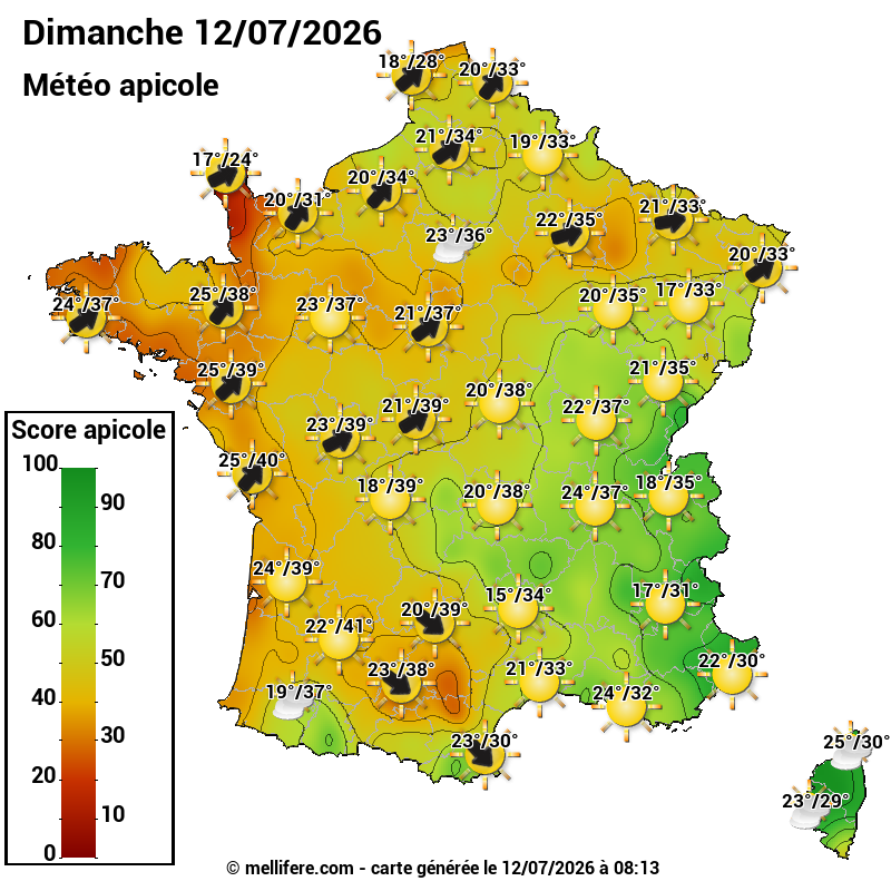 Carte des scores abeilles 12/07
