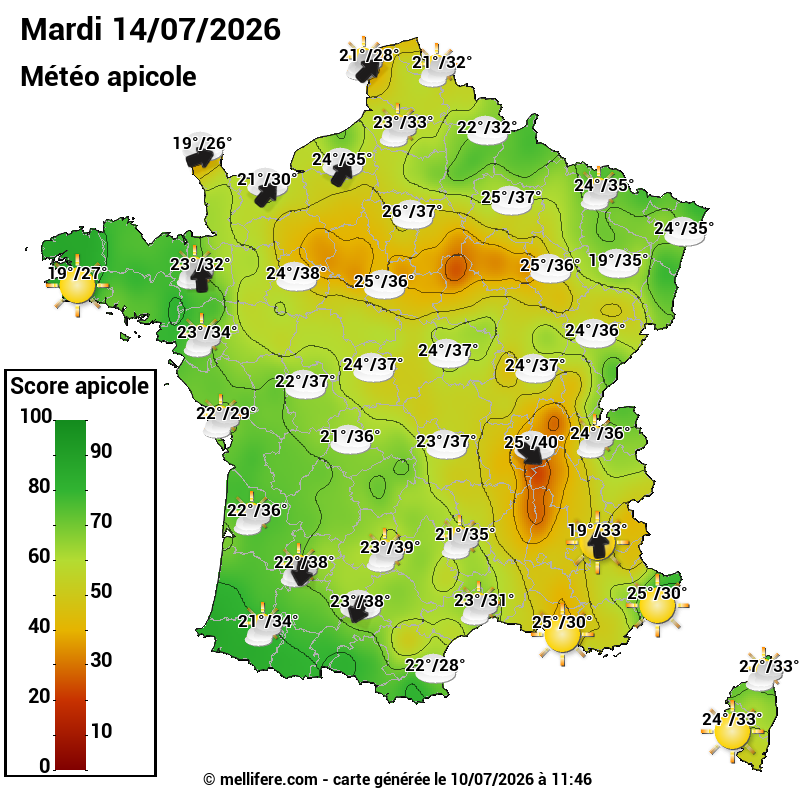 Carte des scores abeilles 14/07
