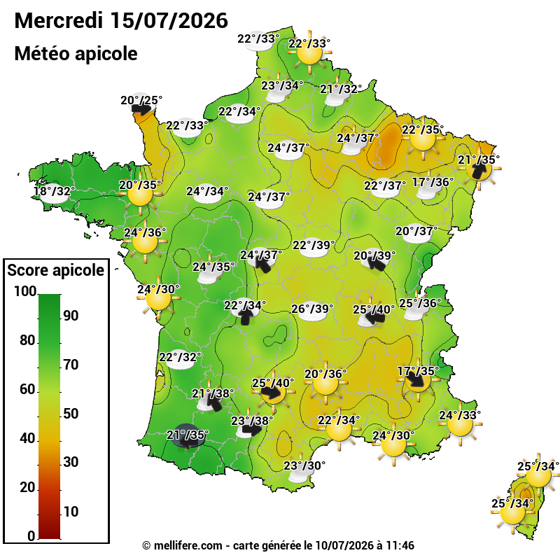 Carte des scores abeilles 15/07