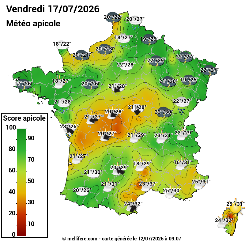 Carte des scores abeilles 17/07