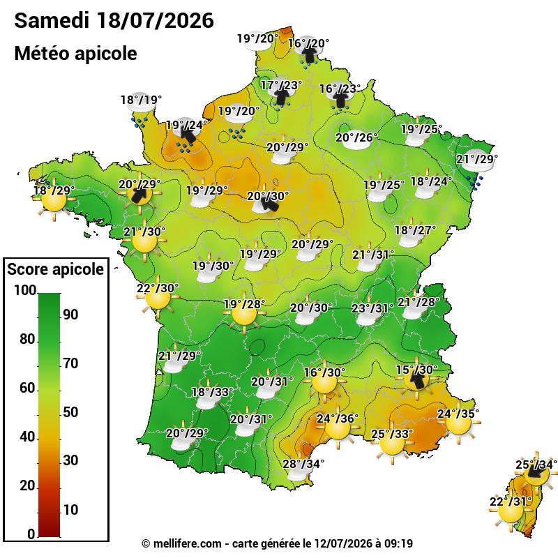 Carte des scores abeilles 18/07