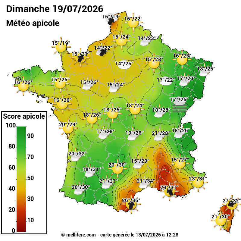 Carte des scores abeilles 19/07