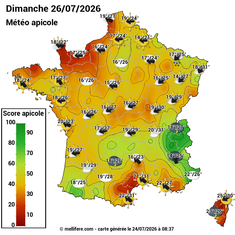 Carte des scores abeilles 26/07