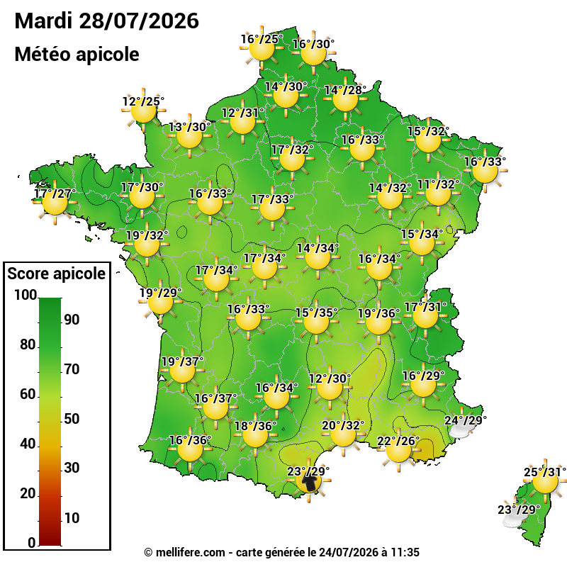 Carte des scores abeilles 28/07