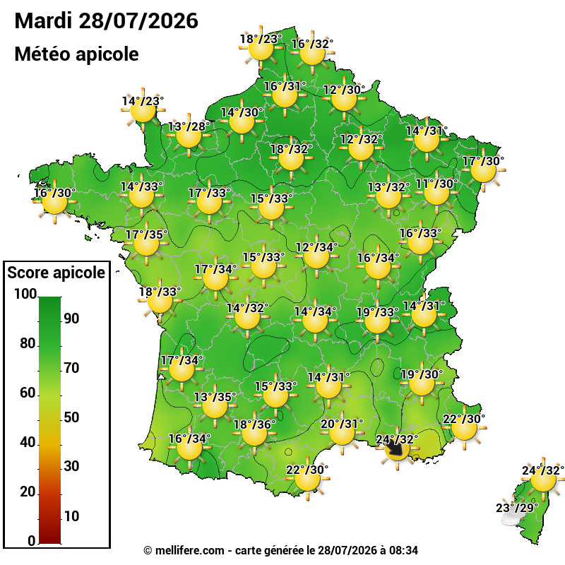 Carte des scores abeilles 28/07