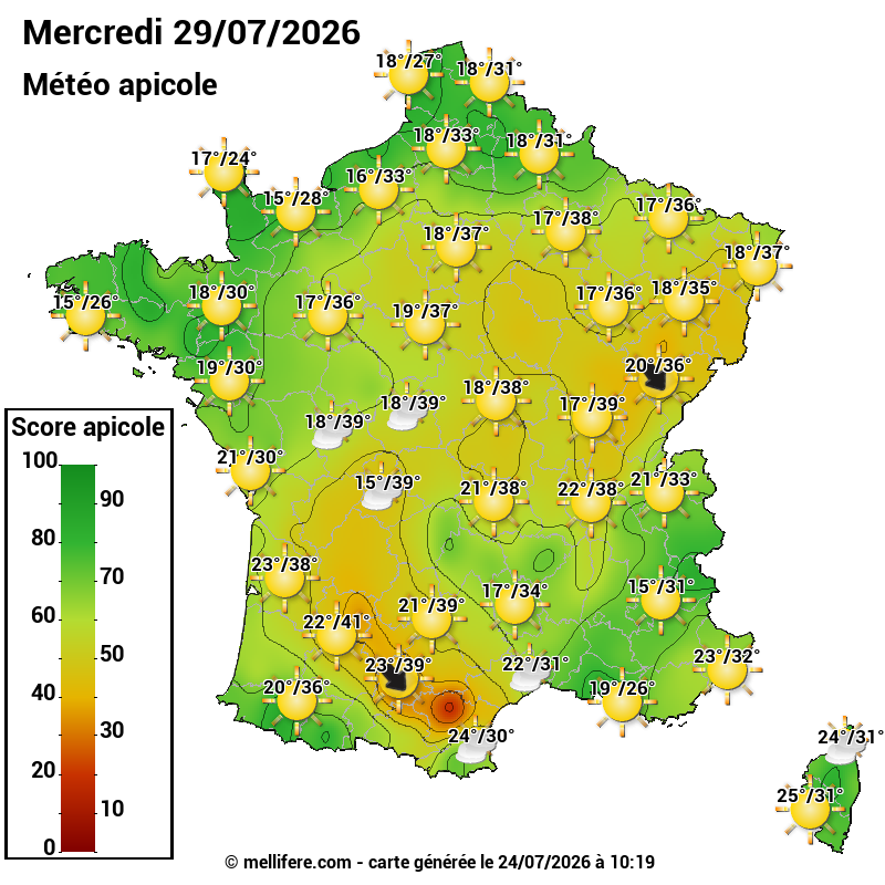 Carte des scores abeilles 29/07
