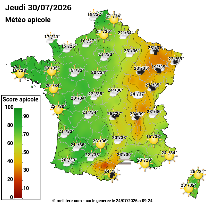 Carte des scores abeilles 30/07