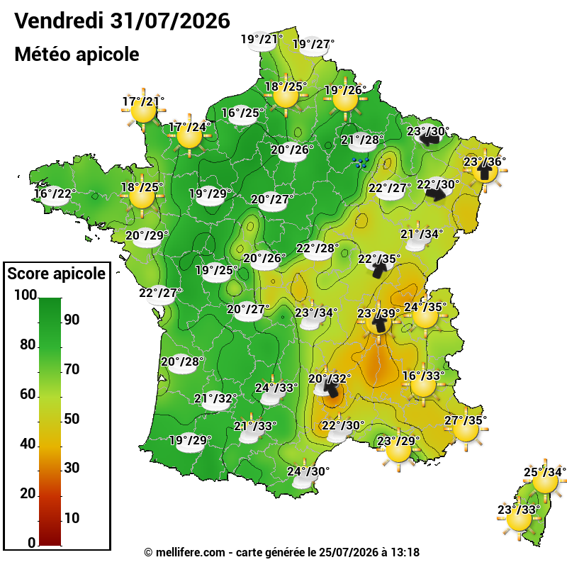 Carte des scores abeilles 31/07