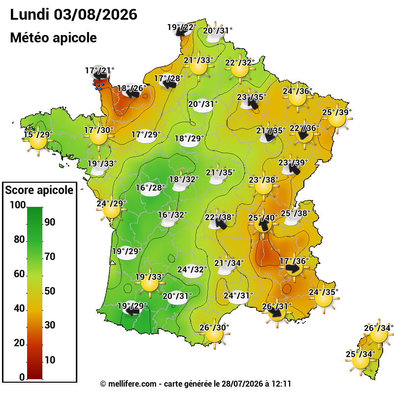 Carte des scores abeilles 03/08
