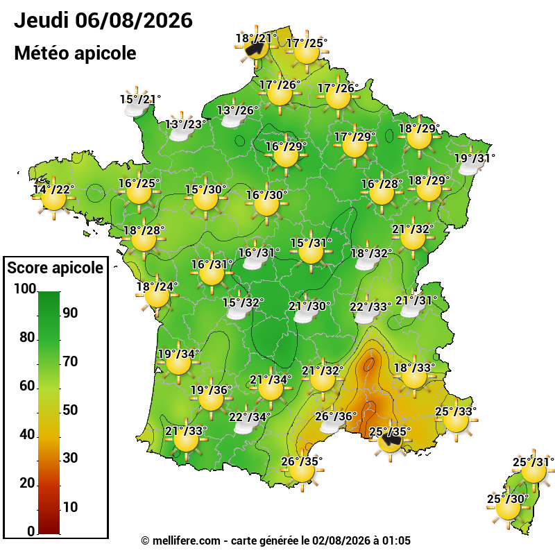 Carte des scores abeilles 06/08