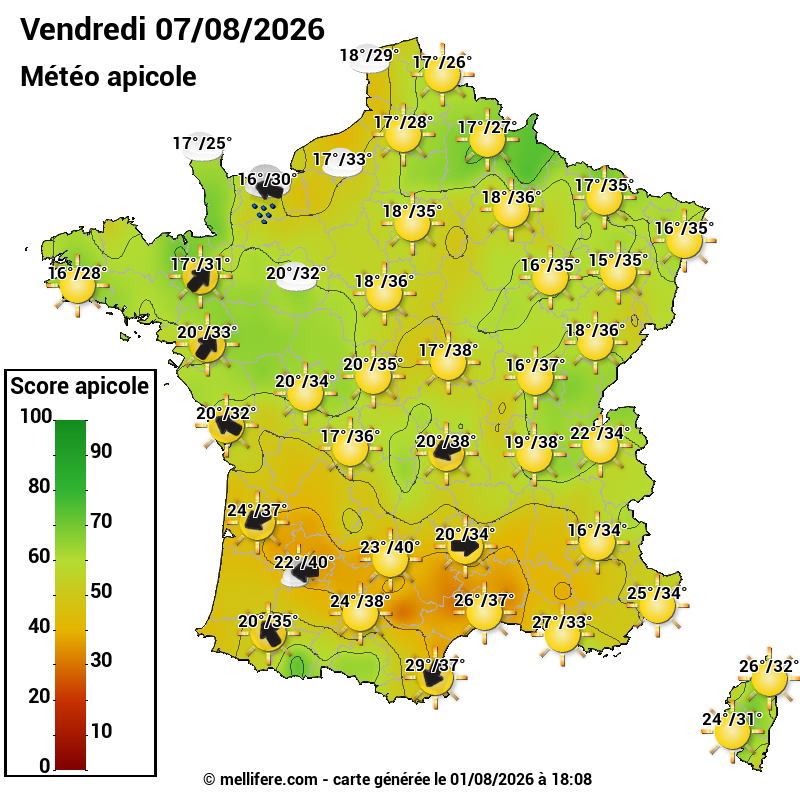 Carte des scores abeilles 07/08