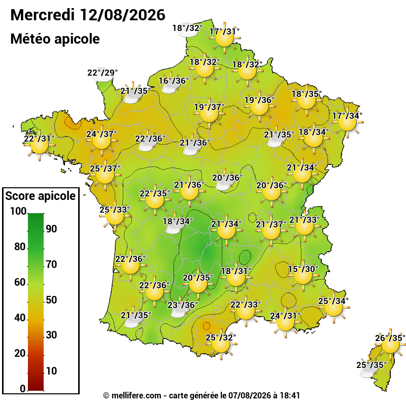 Carte des scores abeilles 12/08