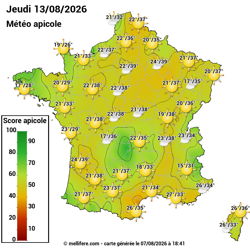 Carte des scores abeilles 13/08