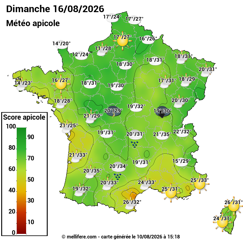 Carte des scores abeilles 16/08