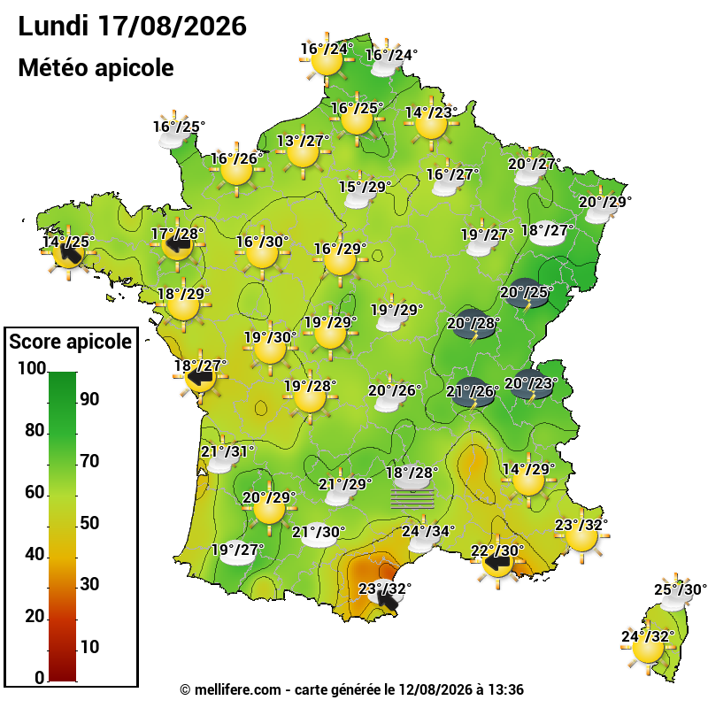 Carte des scores abeilles 17/08