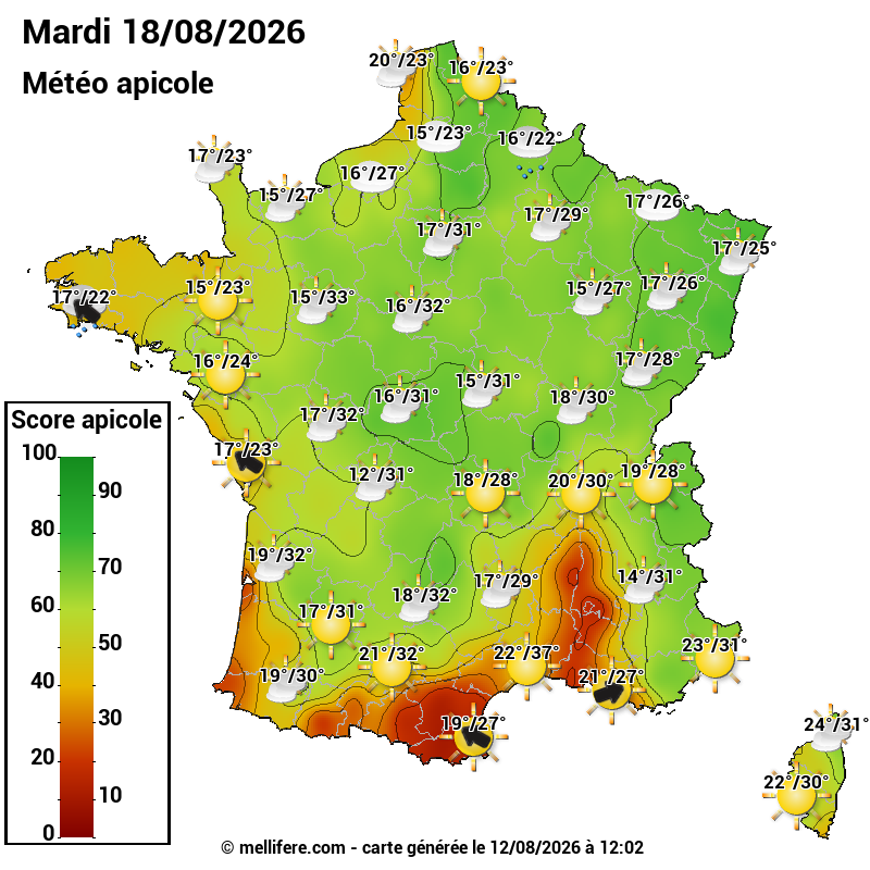 Carte des scores abeilles 18/08