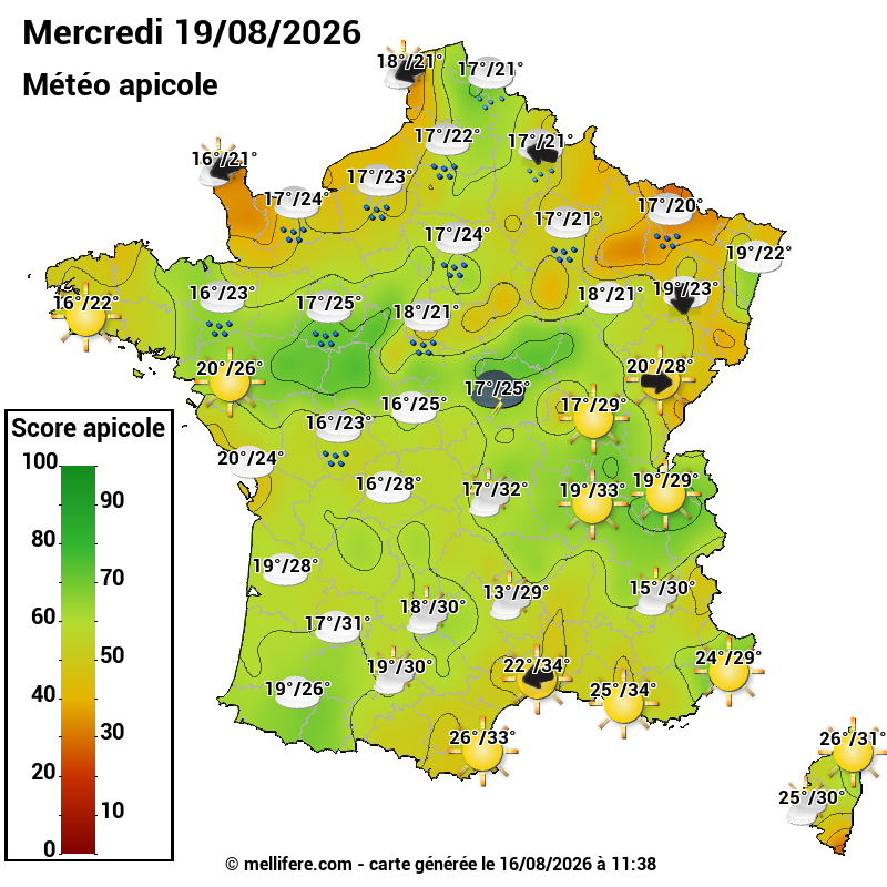 Carte des scores abeilles 19/08