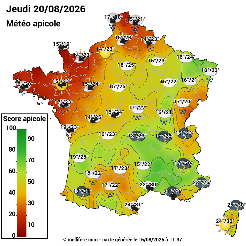 Carte des scores abeilles 20/08
