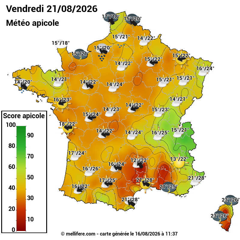 Carte des scores abeilles 21/08