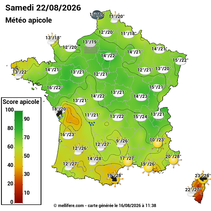 Carte des scores abeilles 22/08