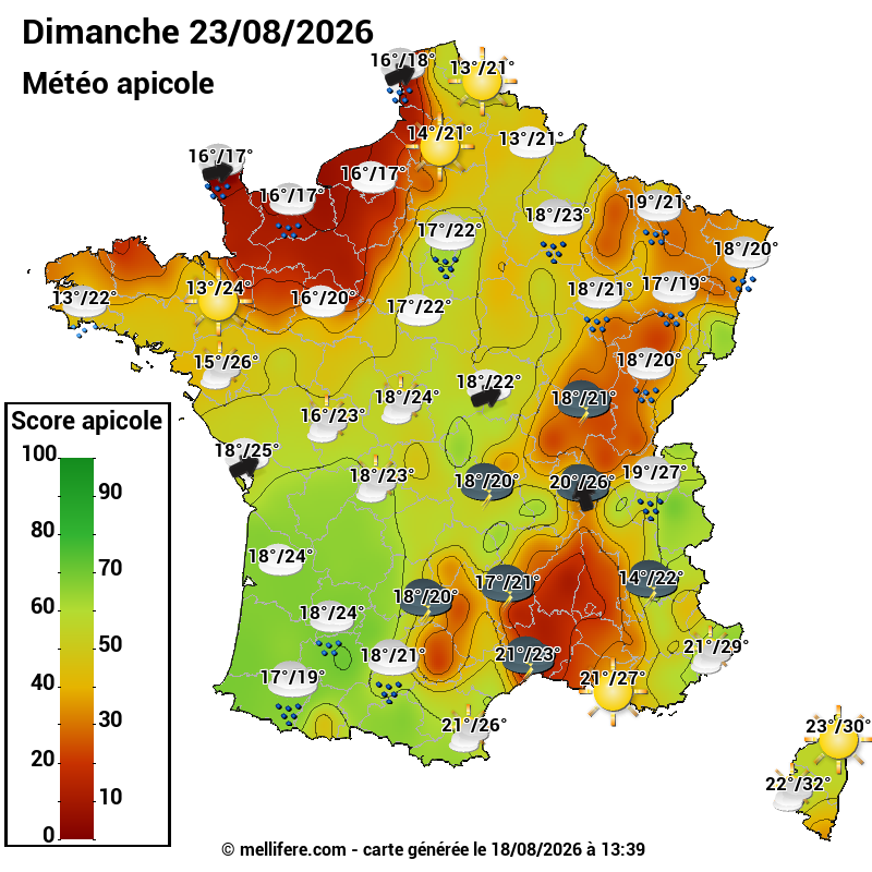 Carte des scores abeilles 23/08