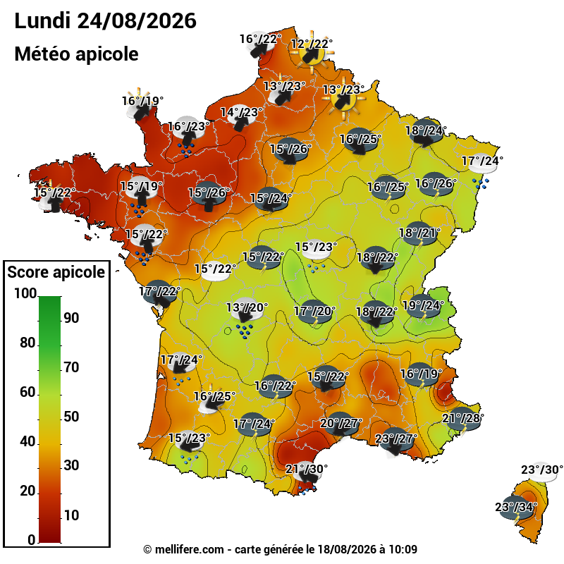 Carte des scores abeilles 24/08