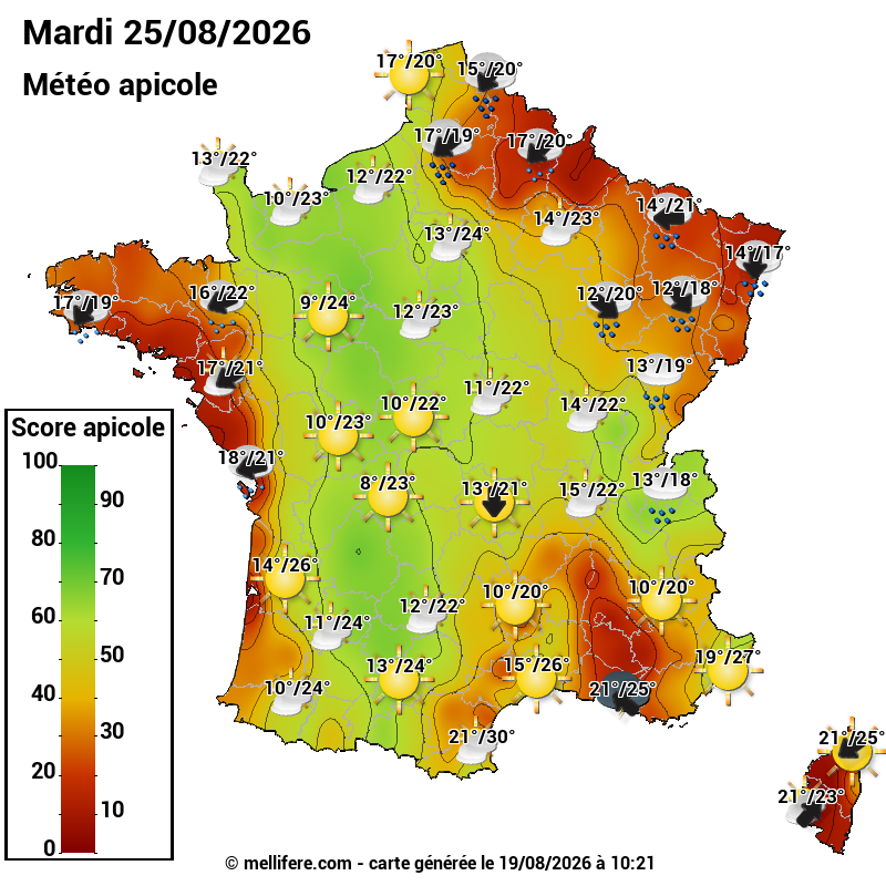 Carte des scores abeilles 25/08
