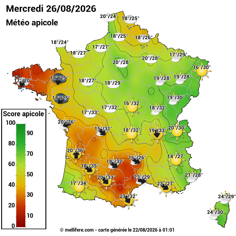 Carte des scores abeilles 26/08