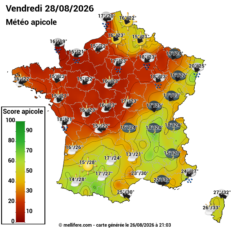 Carte des scores abeilles 28/08