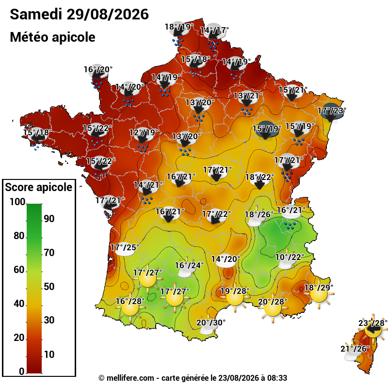Carte des scores abeilles 29/08